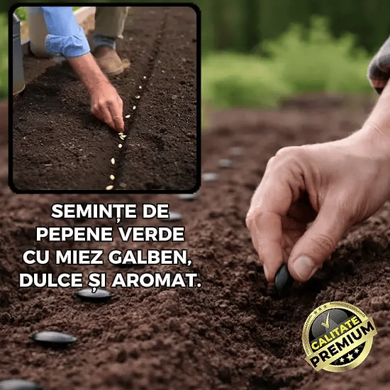 Semințe Pepene Galben - DulceSweet™