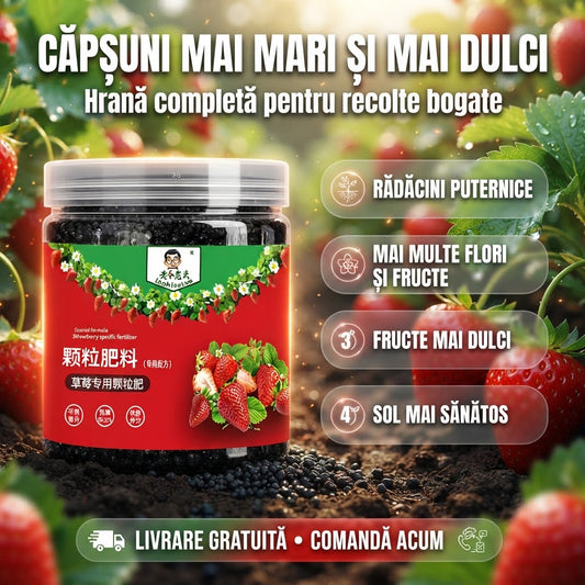 Îngrășământ Pentru Căpșuni BerryGrow™