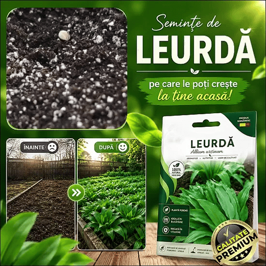 Semințe de Leurda WildGreen™
