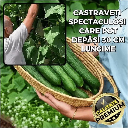 Castraveți Mari și Lunguieți - Fabio™
