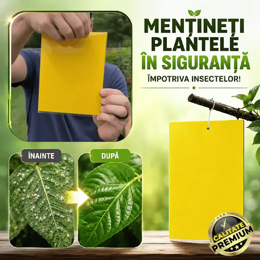 Capcană Lipicioasă Pentru Insecte InsectoFix™