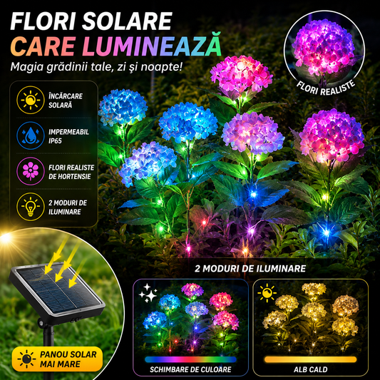 Flori Solare Decorative GlowBloom™